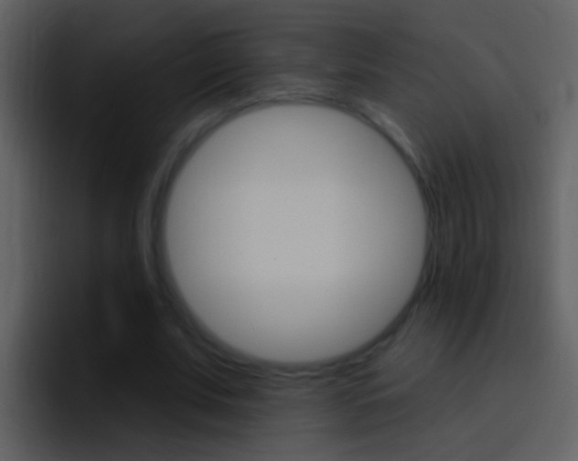 X0000096990679200802080920