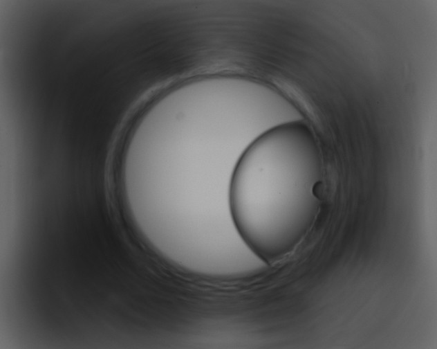 X0000096990680200802080920