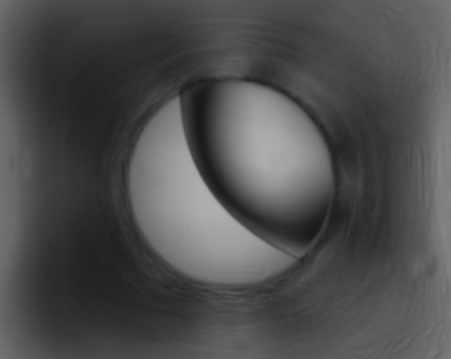 X0000096990681200802080920