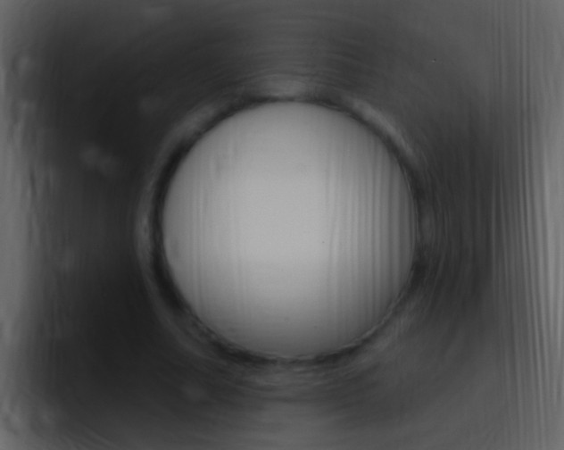 X0000096990682200802080920