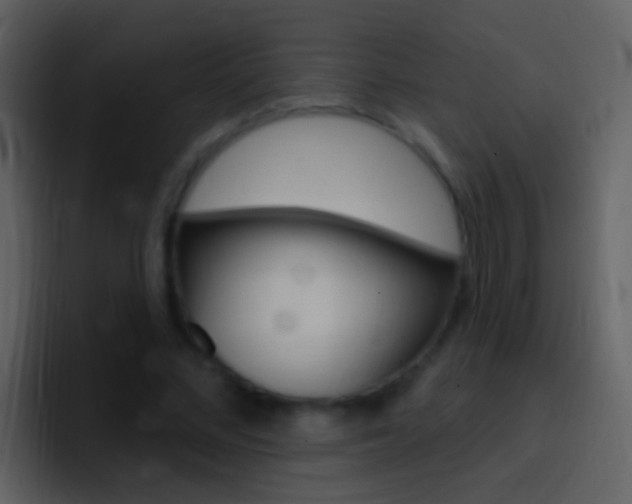 X0000096990684200802080920