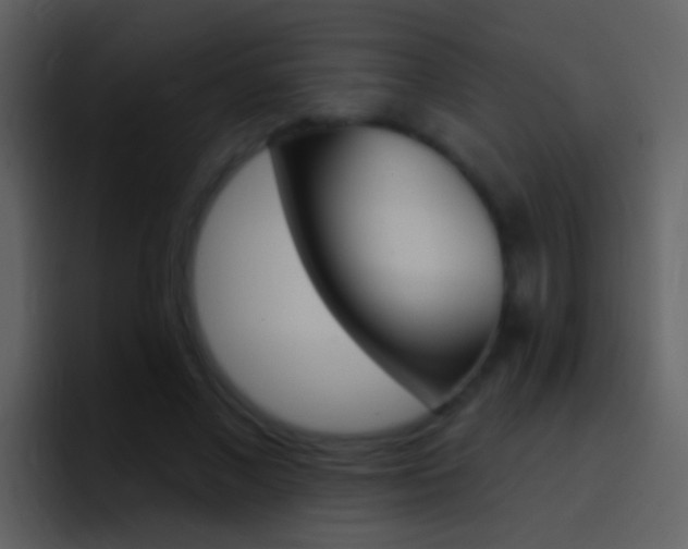 X0000096990685200802080920
