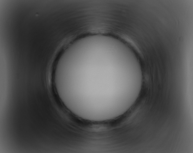 X0000096990686200802080920