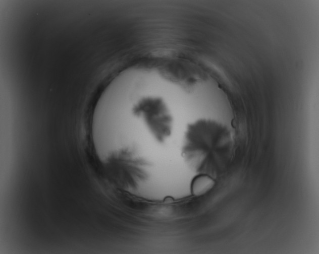 X0000096990687200802080920