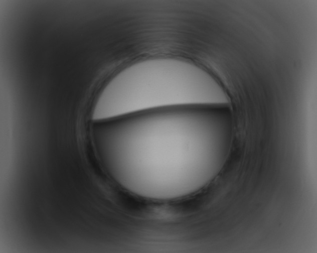 X0000096990688200802080920