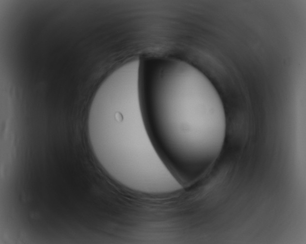 X0000096990689200802080920