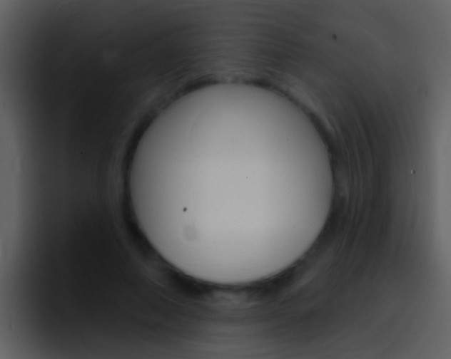 X0000096990690200802080920