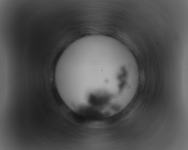 X0000096990691200802080920