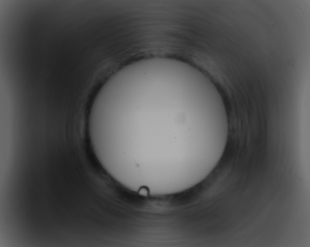 X0000096990694200802080920