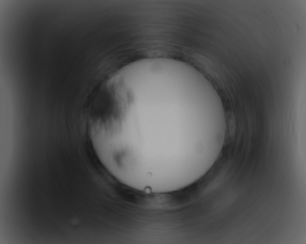 X0000096990695200802080920