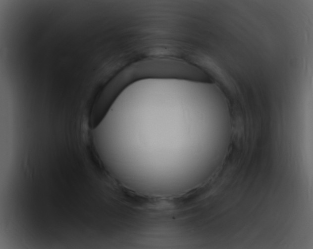 X0000096990696200802080920