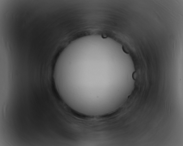 X0000096990698200802080919