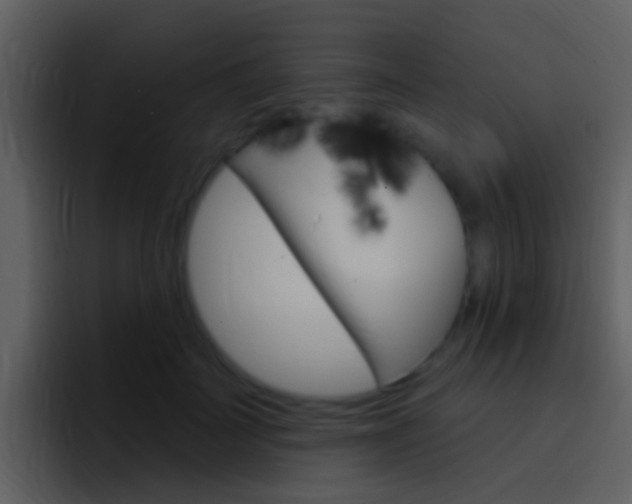 X0000096990699200802080919