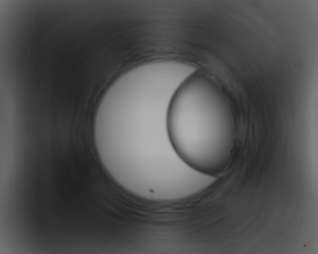 X0000096990700200802080919