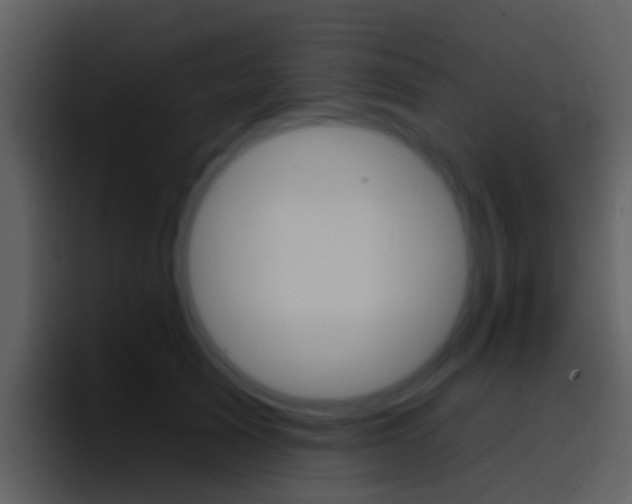 X0000096990705200802080919