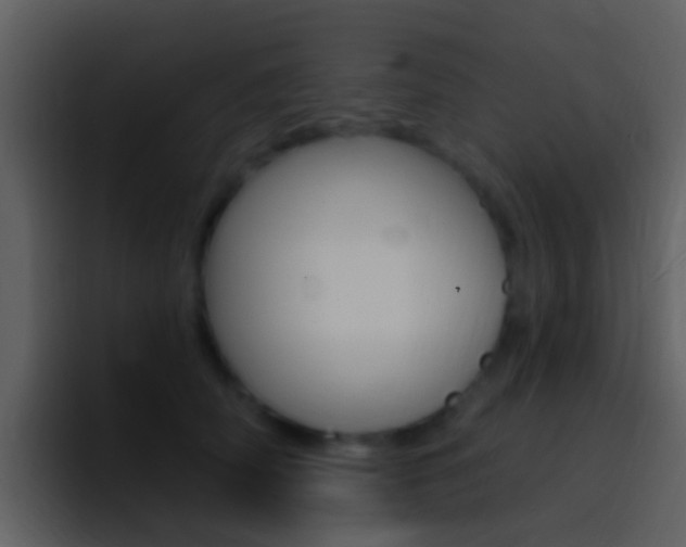 X0000096990706200802080919