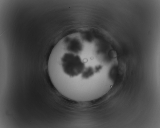 X0000096990707200802080919