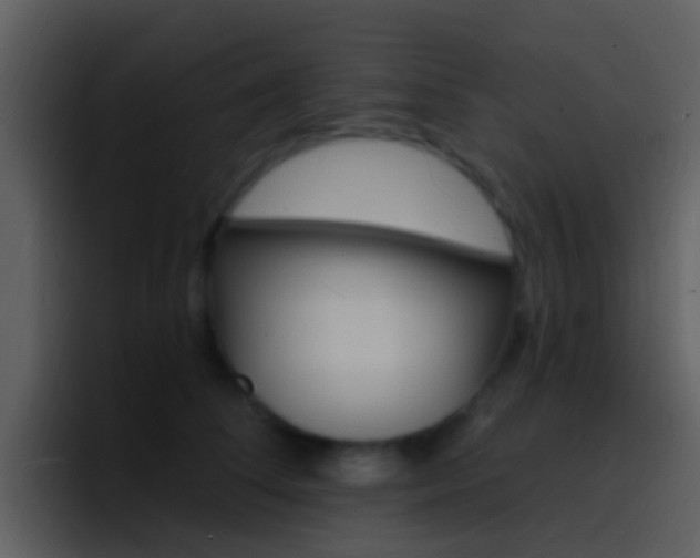 X0000096990708200802080919