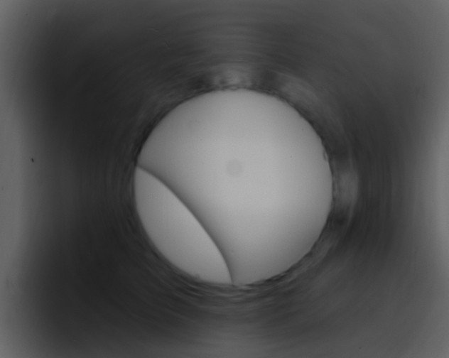 X0000096990709200802080919