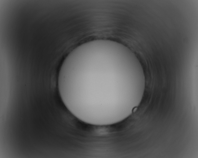X0000096990710200802080919