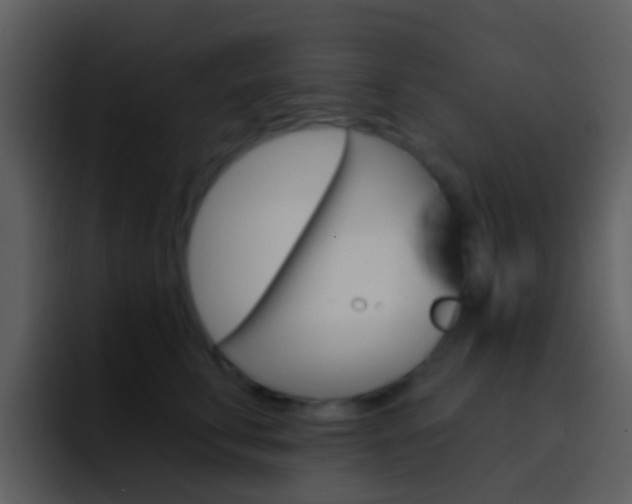X0000096990711200802080919