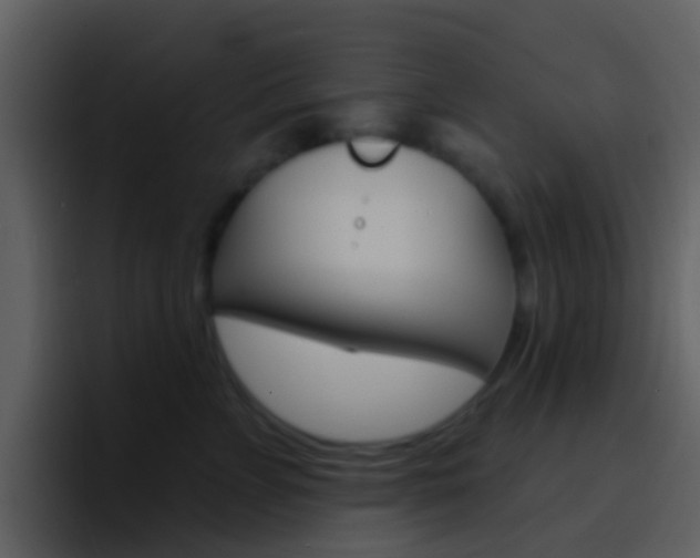 X0000096990715200802080919