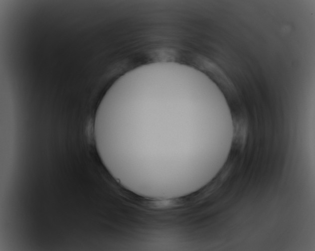 X0000096990717200802080919