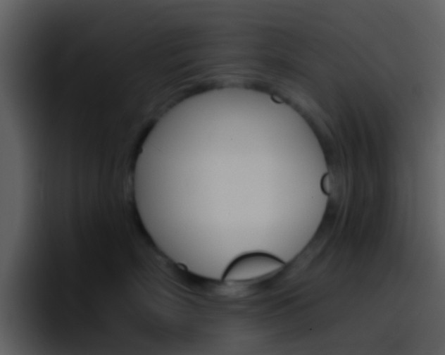 X0000096990718200802080919