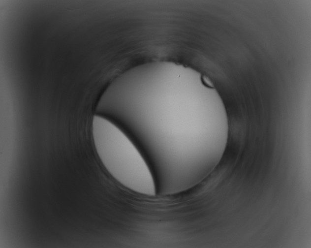 X0000096990719200802080919