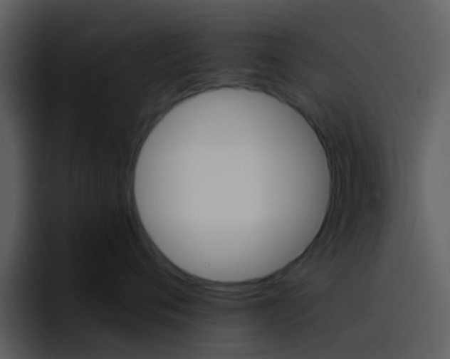 X0000096990720200802080919