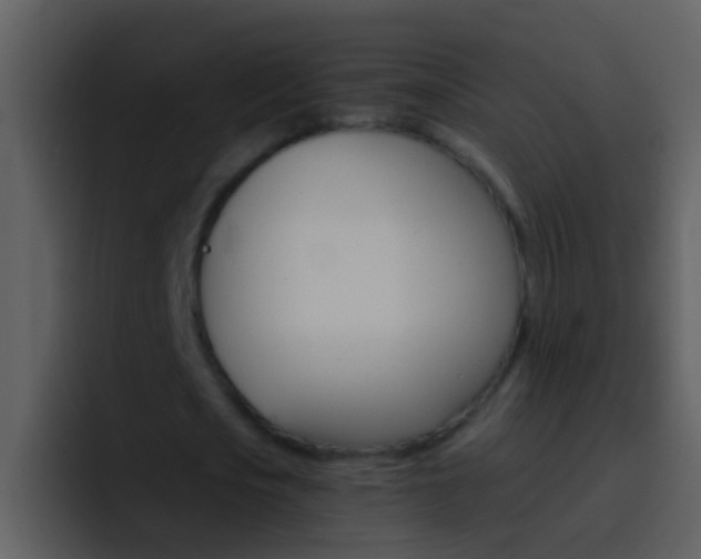 X0000096990721200802080919
