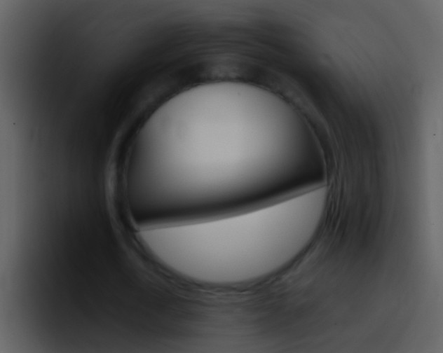 X0000096990722200802080919