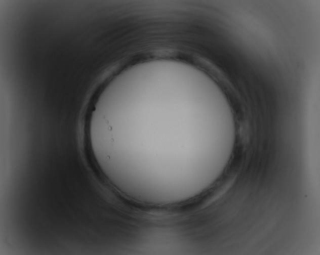 X0000096990725200802080919