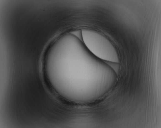 X0000096990730200802080919