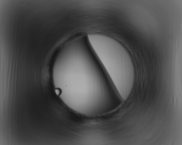 X0000096990731200802080919