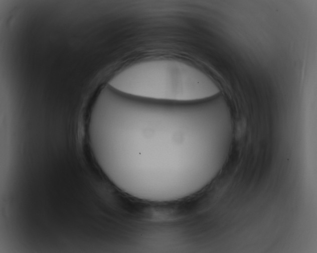 X0000096990733200802080919