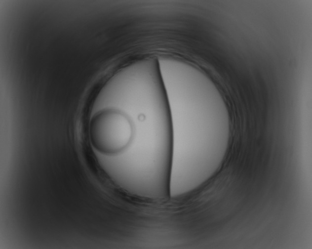 X0000096990734200802080919
