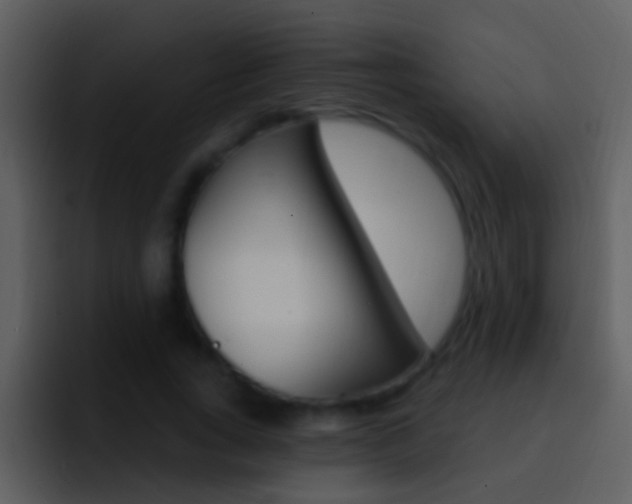 X0000096990735200802080919