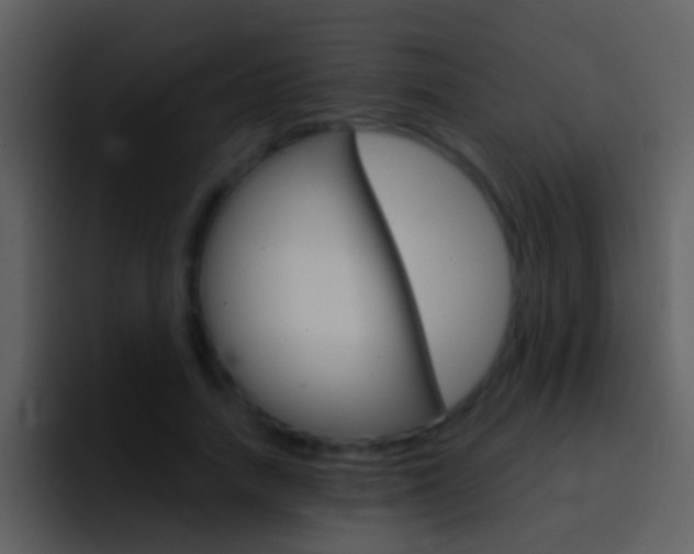 X0000096990738200802080919