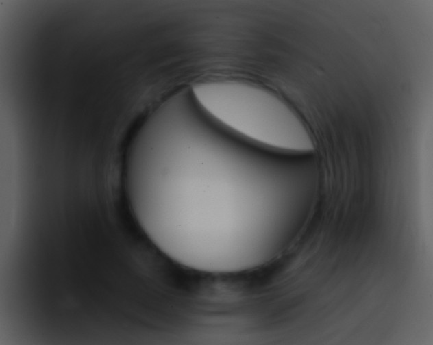 X0000096990739200802080919