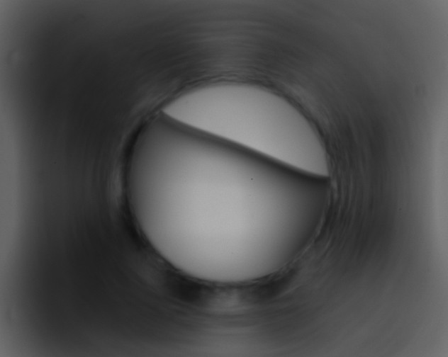 X0000096990740200802080919