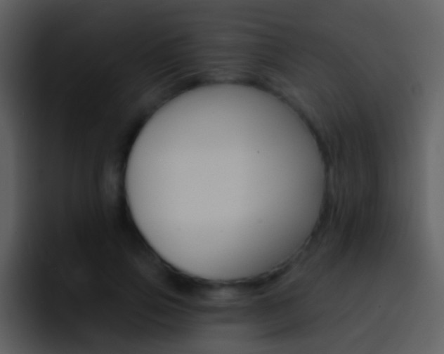 X0000096990741200802080919