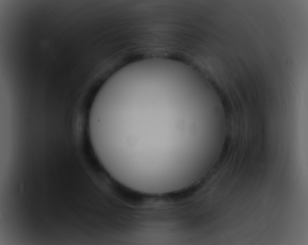 X0000096990742200802080919