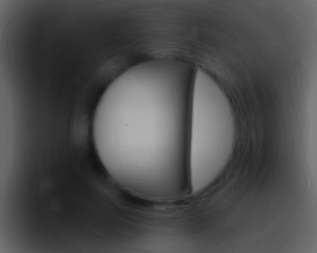 X0000096990744200802080919