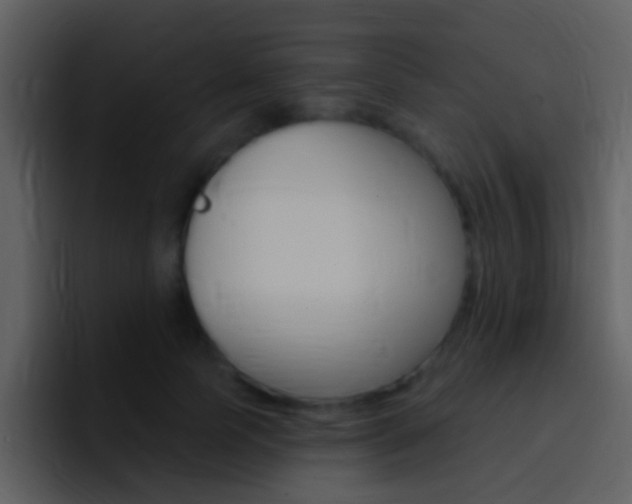 X0000096990745200802080919