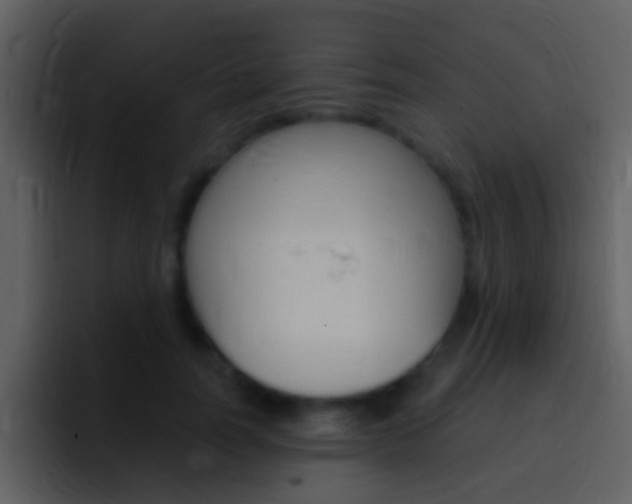 X0000096990746200802080919