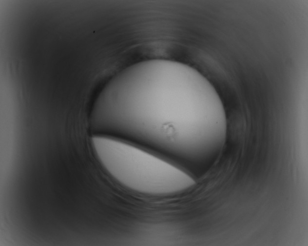 X0000096990747200802080919
