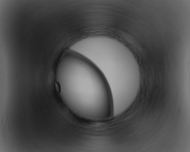 X0000096990748200802080919