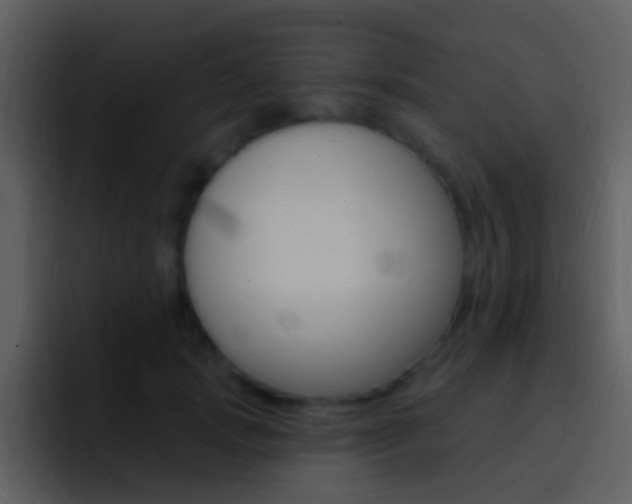 X0000096990749200802080919
