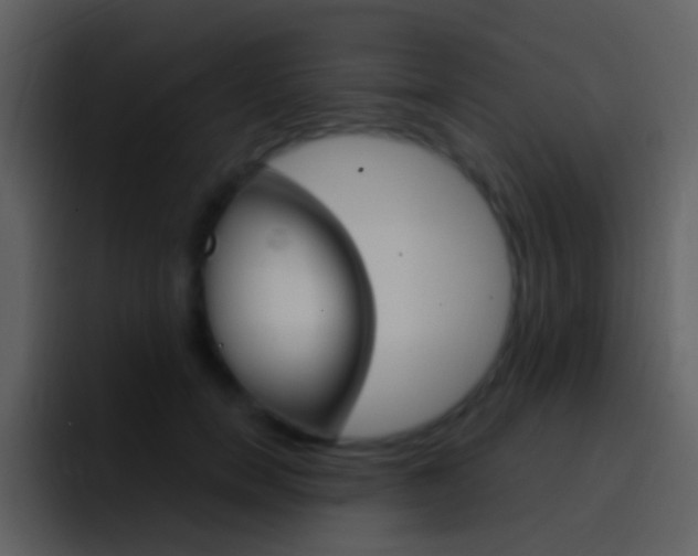 X0000096990750200802080919